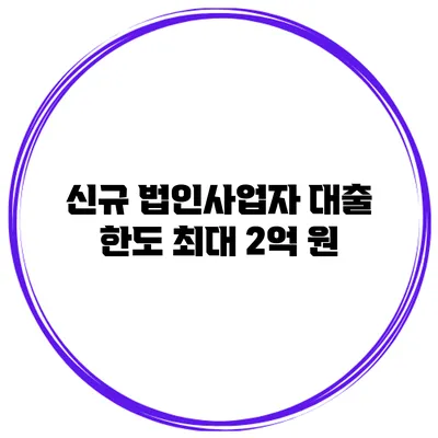 신규 법인사업자 대출 한도 최대 2억 원