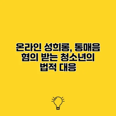 온라인 성희롱, 통매음 혐의 받는 청소년의 법적 대응