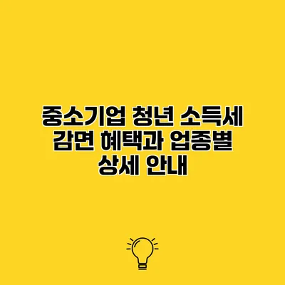 중소기업 청년 소득세 감면 혜택과 업종별 상세 안내